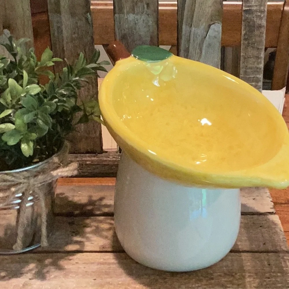 Lemon Pet Bowl